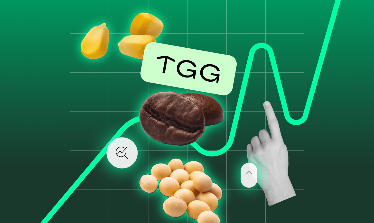 Polski rynek rolny 2.0 – jak może wyglądać nowoczesna platforma obrotu?