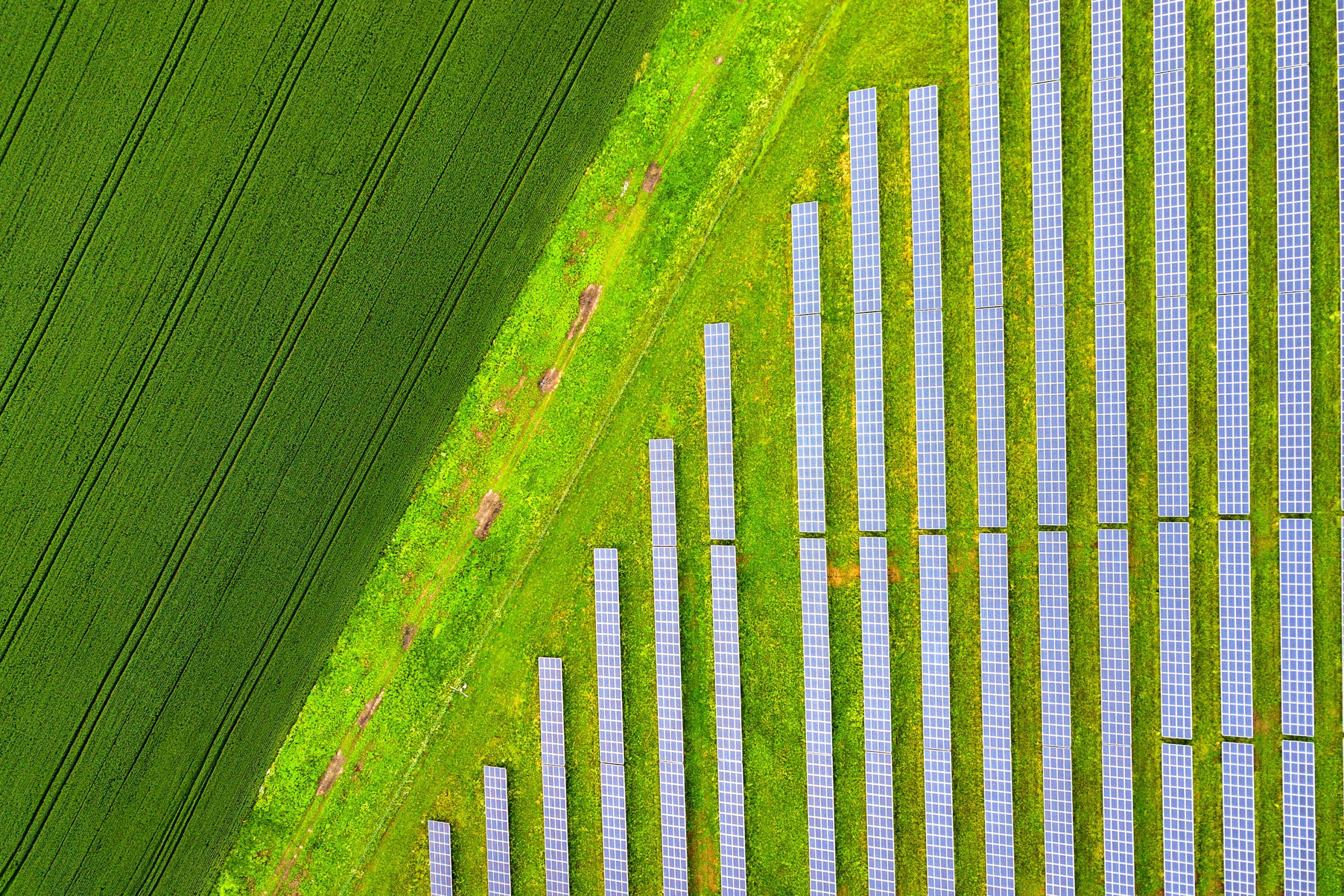 Jak trendy ESG wpływają na ceny towarów?