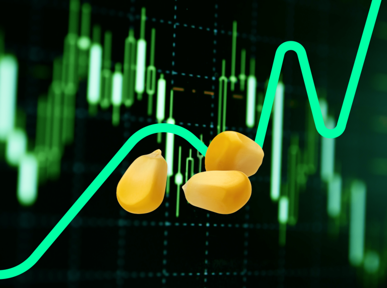 Czym różni się giełda papierów wartościowych od giełdy towarowej?