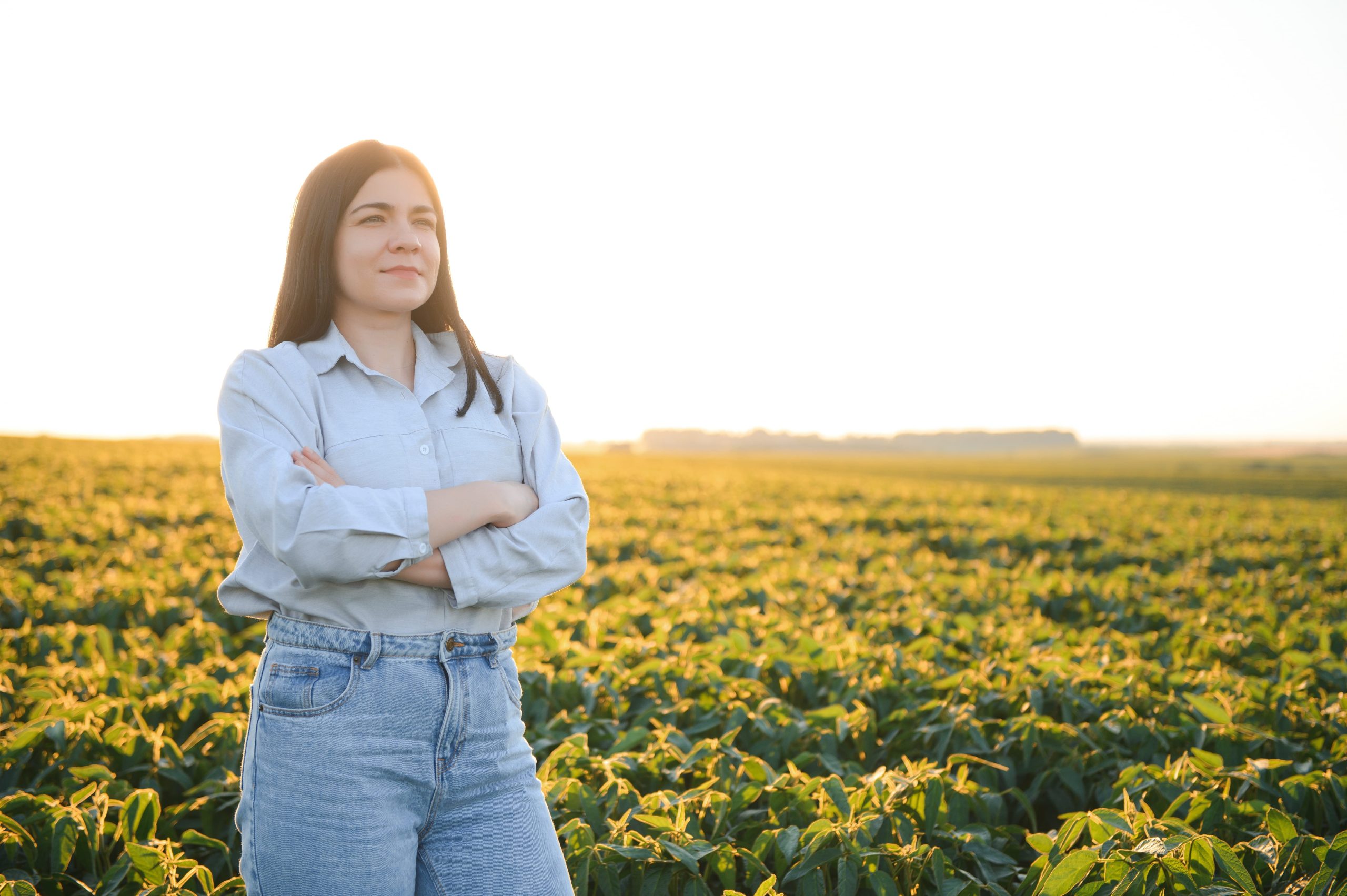 Behawioralne spojrzenie na decyzje gospodarcze i ich wpływ na zmienność cen