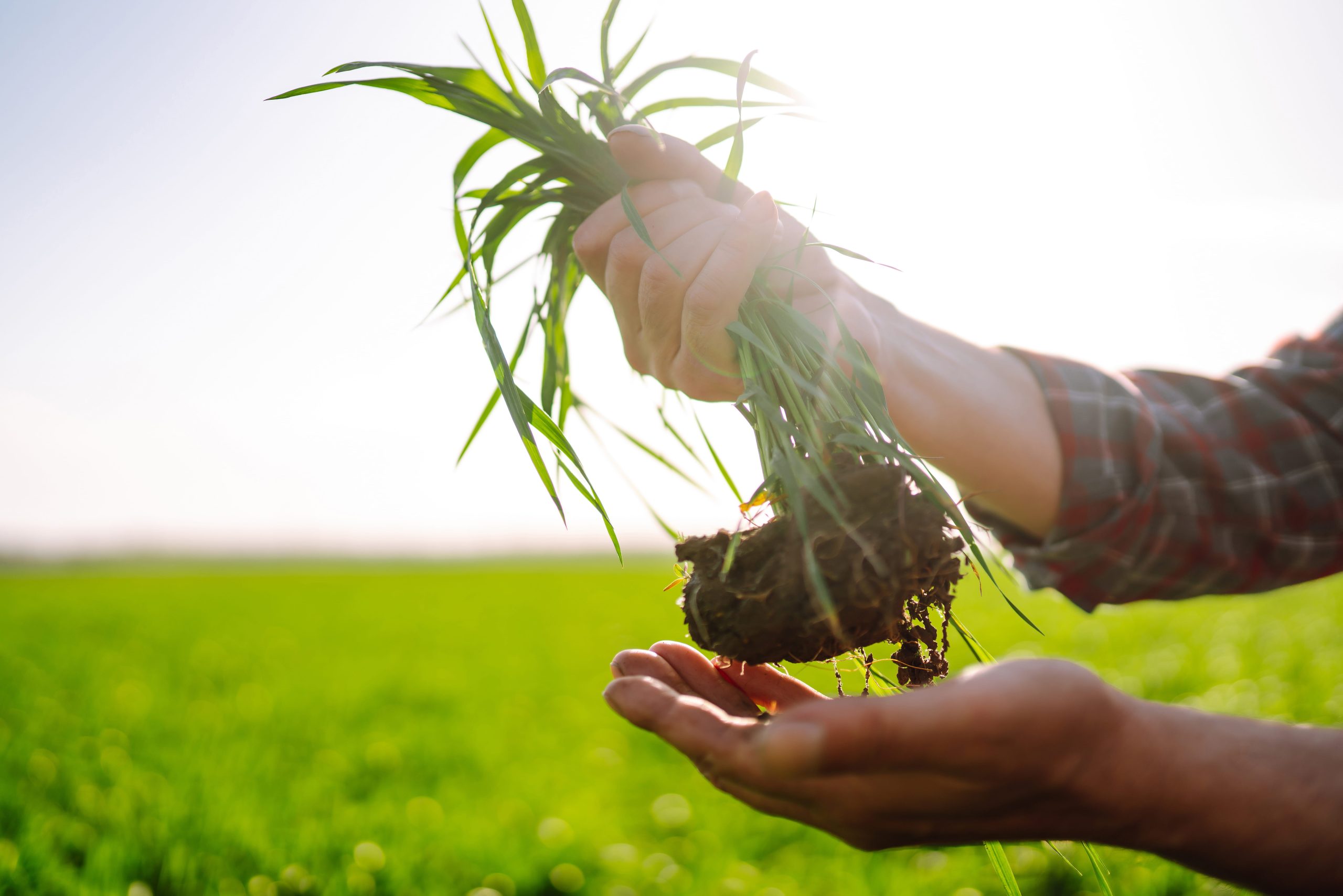 „Plan na plon” – żyzne gleby, to dobrobyt rolnika i Polski